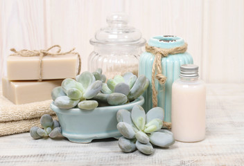 Moisturizing dry skin: set of cosmetics and succulent plants