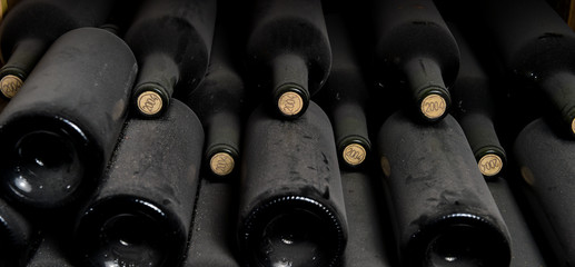 Old dusty wine bottles