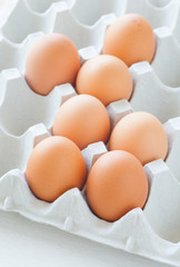 Healthy food brown chicken egg in carton container