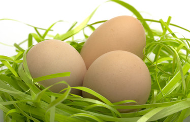 Три яичка в салатовом гнезде