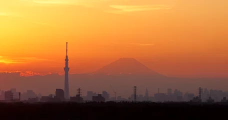 Rolgordijnen Tokyo city view with Tokyo skytree and mountain fuji . © torsakarin