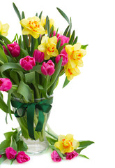 bunch of  tulips and daffodils in vase