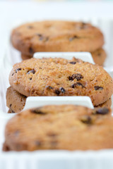 Chocolate Chip Cookie
