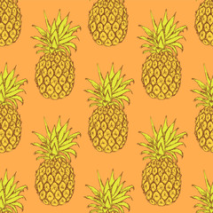 Sketch tasty pineapple in vintage style