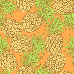Sketch tasty pineapple in vintage style
