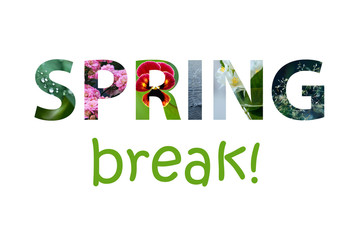 The words spring break made of colorful spring images