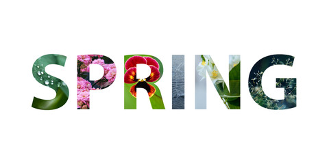 Word spring with colorful spring images inside the letters