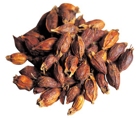 한약재 오브젝트