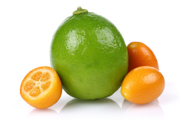 Lime and Kumquat Group