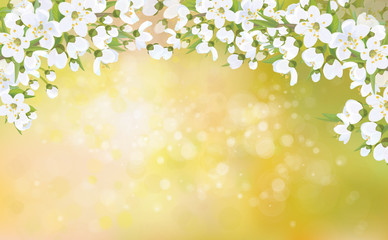 Vector blossoming branches of apple tree, spring background.