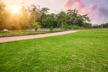 Obraz premium Close up flower