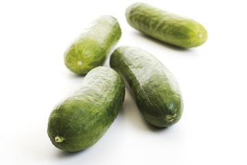 Minigurken (Cucumis sativus)