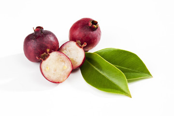 Erdbeerguave (Psidium littorale)