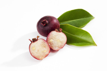 Erdbeerguave (Psidium littorale)