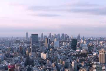 Fototapeta na wymiar 東京都市風景　渋谷と新宿高層ビル群を望む　夕陽があたる