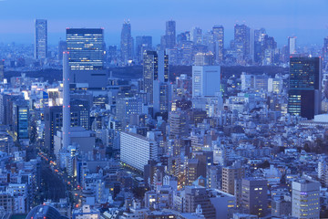 東京都市風景　渋谷と新宿高層ビル群を望む　トワイライト