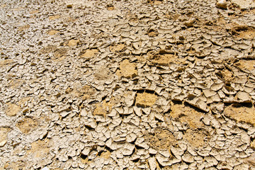 Cracked desert land