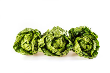 salad on a white background