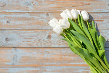 White tulips on a old wooden background with empty space layout