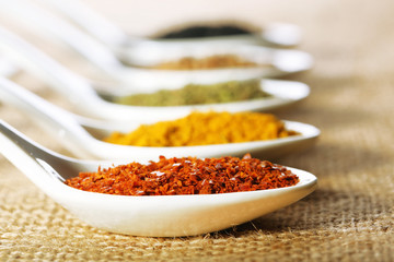 Different kinds of spices in ceramics spoons,