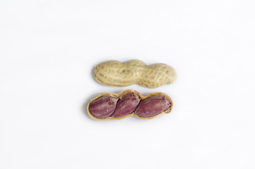 Peanut on white background.