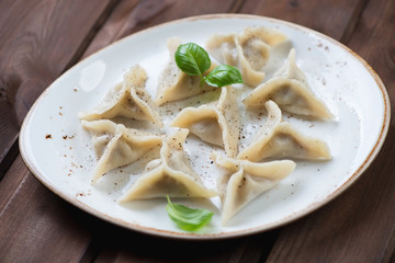Khinkali or eastern style meat dumplings, studio shot, close-up