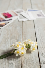Obraz na płótnie Canvas Bunch of white narcissus and printed photos on a wooden table