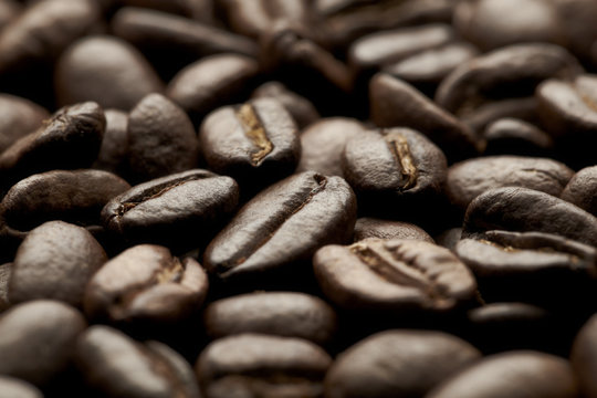 coffee beans macro image