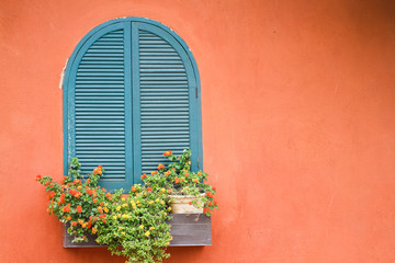 Window with flowers.