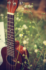 Ukulele processed in vintage  style