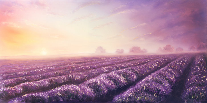 Original oil painting of lavender fields on canvas.Sunset land