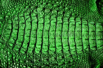 Schilderijen op glas green crocodile alligator leather texture background © Yanukit
