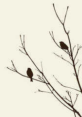 birds on the branches