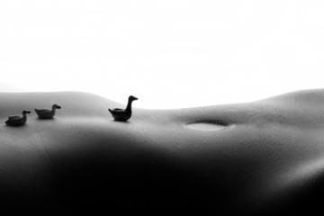 BODYSCAPE