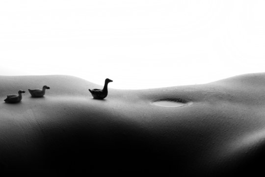 BODYSCAPE