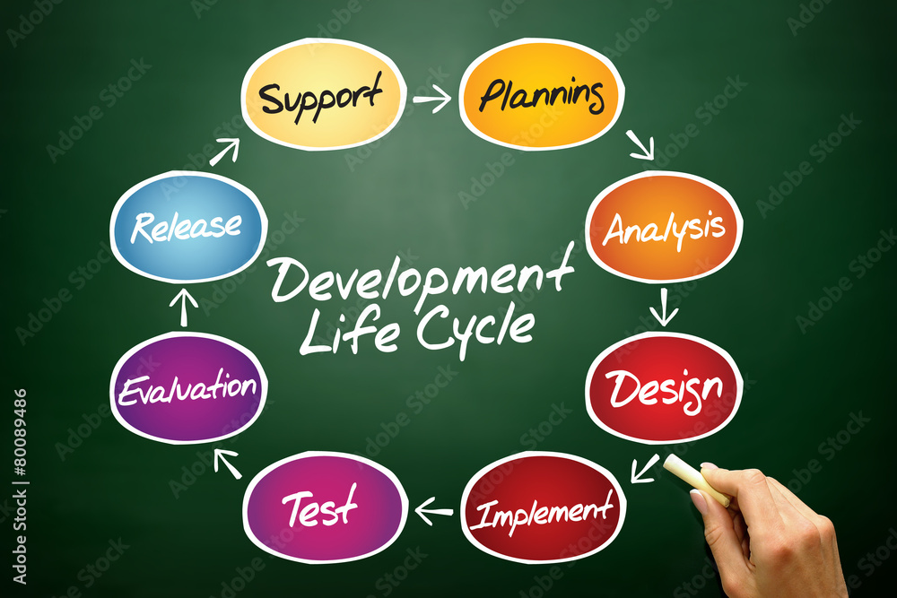 Poster flow chart of life cycle development process on blackboard