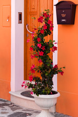 Fototapeta na wymiar Italy colorful orange front door red flowers, welcome mat