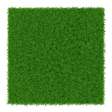 Square green grass banners, vector illustration.
