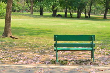 green bench