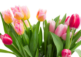 bouquet of    tulip flowers in vase
