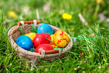 Easter eggs in basket on green grass.