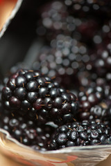 Fresh ripe blackberries