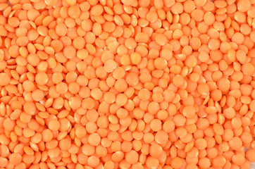 Close up of dried red lentil background