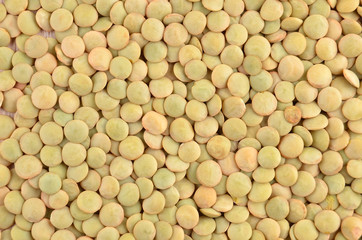 Close up of dried green lentil background