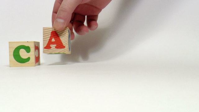 Wooden cubes. Signs of the zodiac. Cancer