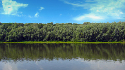 Fototapeta na wymiar beautiful summer landscape with river and trees