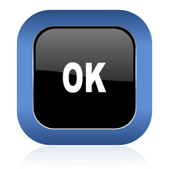 ok square glossy icon