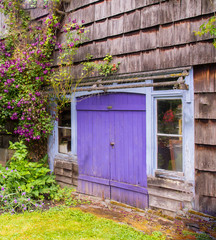 Fototapeta na wymiar Weathered Garden Cottage with a Purple Wooden Door