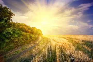Obraz premium Dramatic sky over the road in field