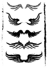 Wings Set